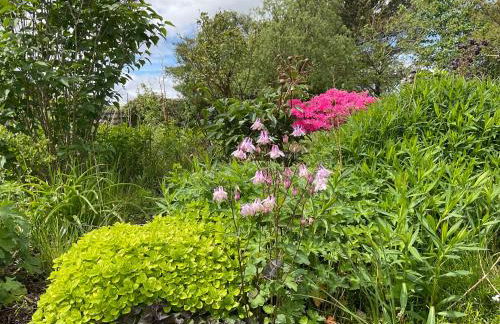 The Wee Hoose - Foto 13