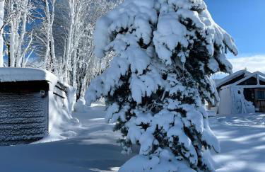 Chalet du Pradel - Photo 30