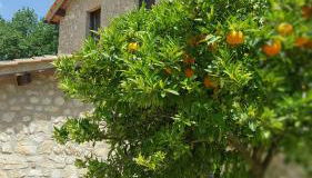 Il Merangolo - Foto 2