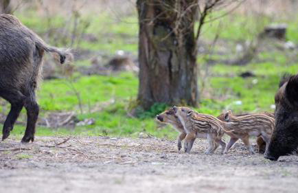 Four Winds - Foto 37