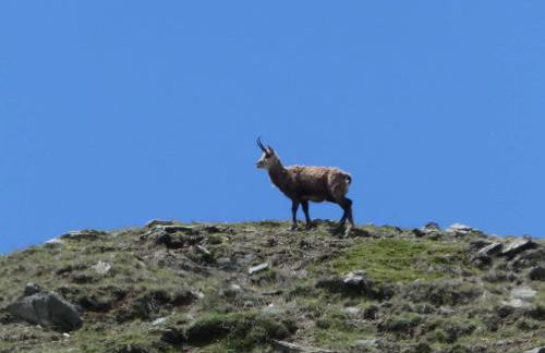 Aosta MaisonGnémaz - Foto 55