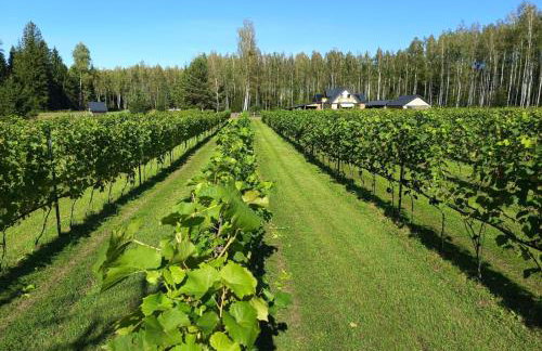 Winnica Sielskie Kresy - Foto 17