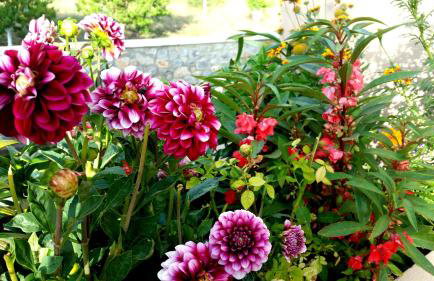 Sunrise Residence - Foto 82