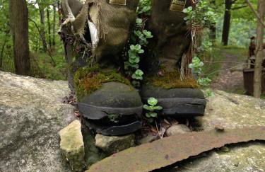 Urlaub im Oberstübchen - Foto 36