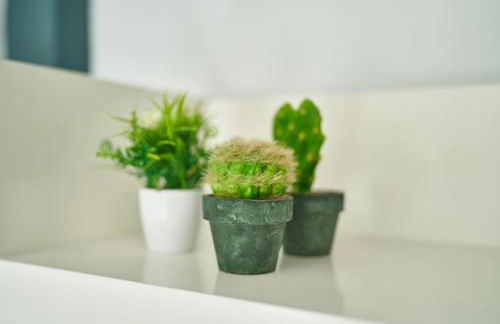 Ferluán II - Foto 46