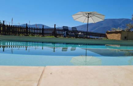 Tropical Studio - Foto 44