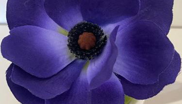 Villa Loukia - Foto 3