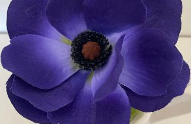 Villa Loukia - Foto 7