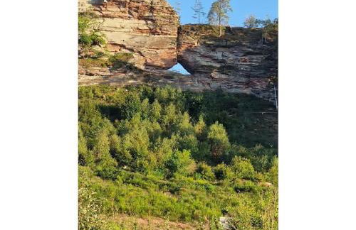 Holiday home Korn am Bärensteig - Foto 31