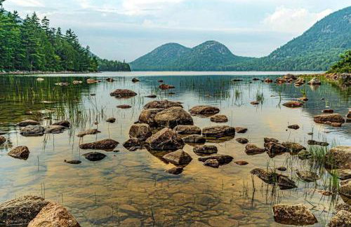Secluded Oasis on Acadia's Quietside - Pets OK! - Foto 14