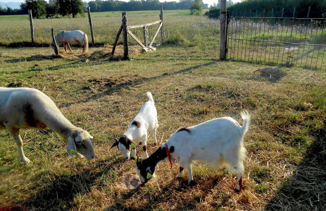 Farmhouse by Lake Trasimeno With Pool - Foto 44