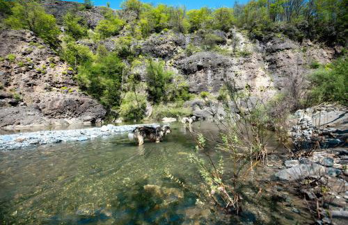 Borgo Tassani - Foto 31