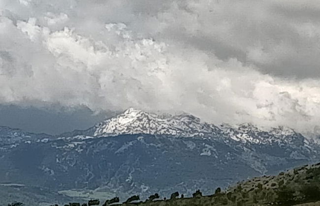 Nature Lovers Escape on an Eco-friendly Vineyard - Foto 20