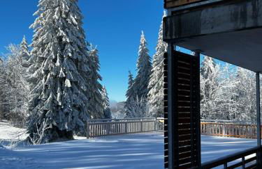 Feldberg Apartment - direkt an der Skipiste - mit Sauna - Foto 15
