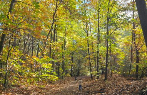 Cocon Jacuzzi privatif - proche Le Mans - Foto 20