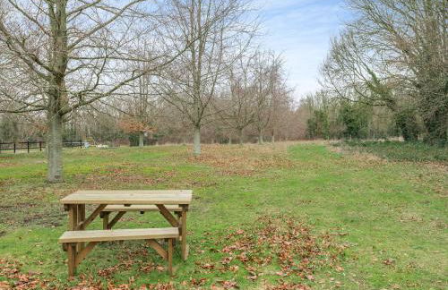 Snowdrop - Ukc6392 - Photo 20