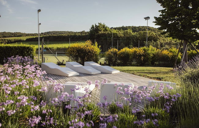 Podere Brizio - Foto 27