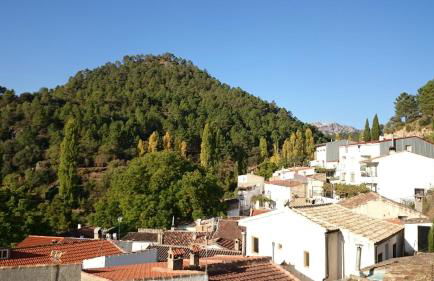 Casas rurales Casa Noguera 2 - Foto 5