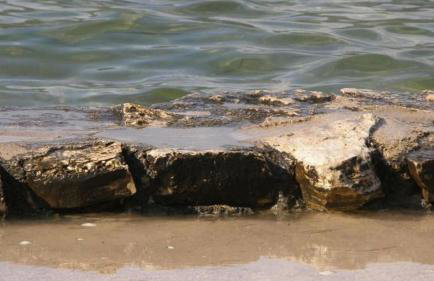 Kiwi apartments - Photo 71