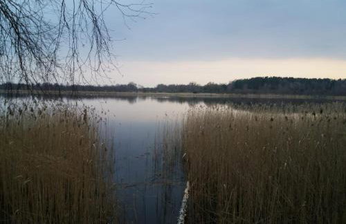 W starej szkole - agroturystyka - Foto 72