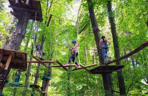 Apartment TraumSeeblick Immenstaad - Foto 29