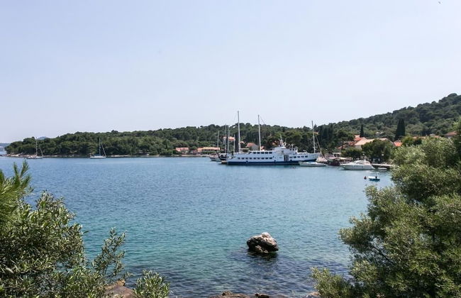 Guest House Zaton - Foto 24