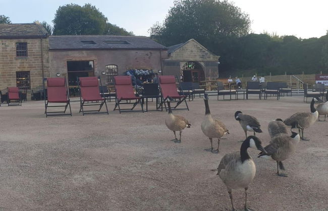 Sparks - Family Suite in Canalside Guesthouse - Foto 32