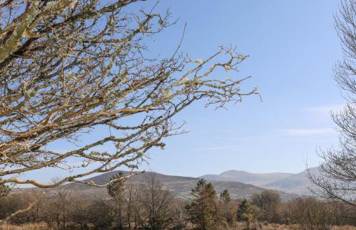 Cwt Mochyn - Foto 21