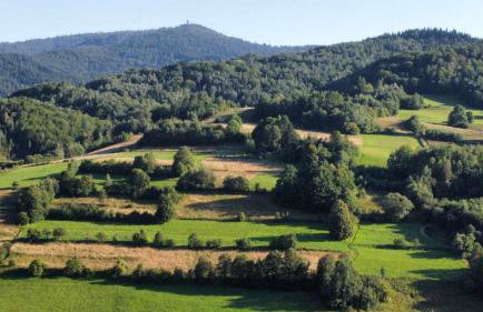 Chatka pod Lubaniem - Photo 37