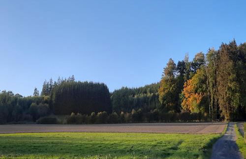 Ferienwohnung im Malerischen Eslohe - Foto 69