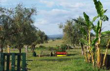 Lodge Rabasquinha - Photo 19