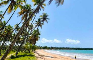 StellaPremium - Photo 24