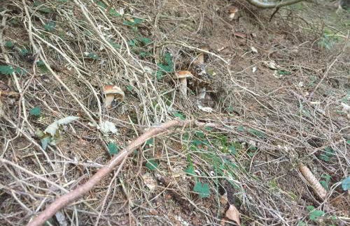 Eco-apartment Valletta - Photo 31