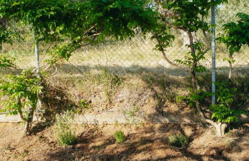 Βίλλα Φανούλα Villa Fanoula - Foto 68