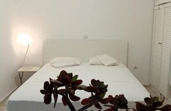 Liopi Village Andros - Foto 38