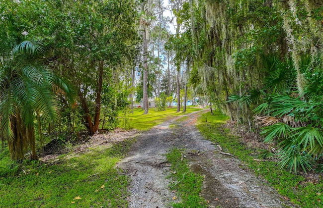 Debra Jean's River Retreat - Foto 6