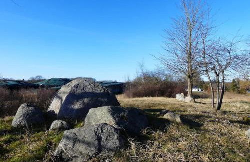 Apartments Blue House, Putbus - Foto 32