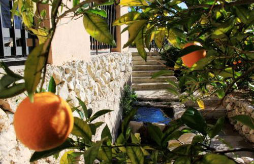 El Molinet del Governador- Apartamentos Rurales - Photo 9