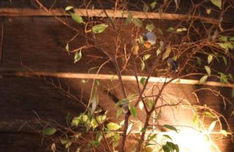 Einzigartiges 140qm LOFT – Party ist erlaubt! - Foto 46