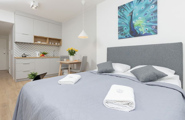 Studio Nocznickiego 2 Guests by Renters - Foto 1