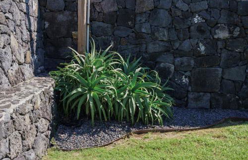 Casa das Cinco - Photo 26