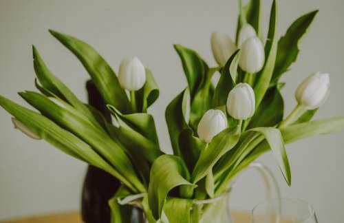 Number 2 Puddies at The Old Dairy Clevedon - Foto 10