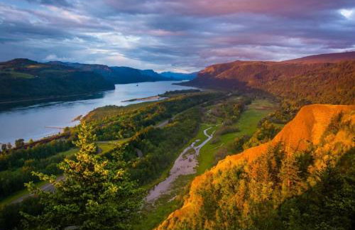 Private Daylight Basement - Near Downtown & Lake - Foto 16