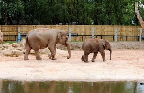 The Old Tractor Shed Luxury Private Hot Tub & View - Foto 53