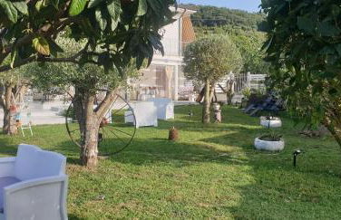 CASE DI BACCO - Foto 5