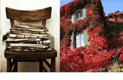 Pescallo Apartments - Foto 53