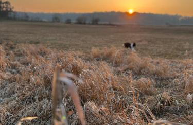 Przystanek Gałkowo - Foto 76