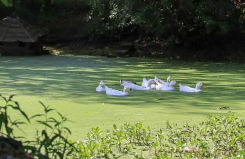 The Old Stables - Foto 24