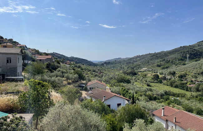 Daniela (DOL295) - Foto 22