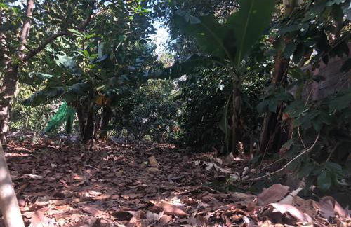 Casa Camino Tamadaba - Foto 52